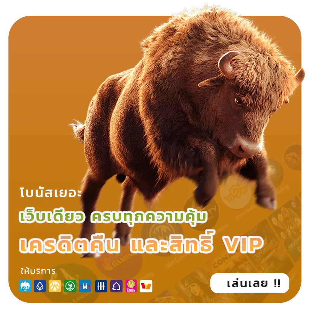 member999 แจกบ่อย